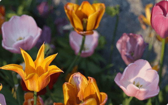 Practitioner gallery image