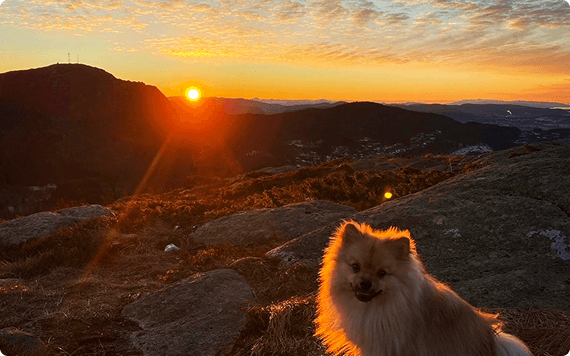 Practitioner gallery image